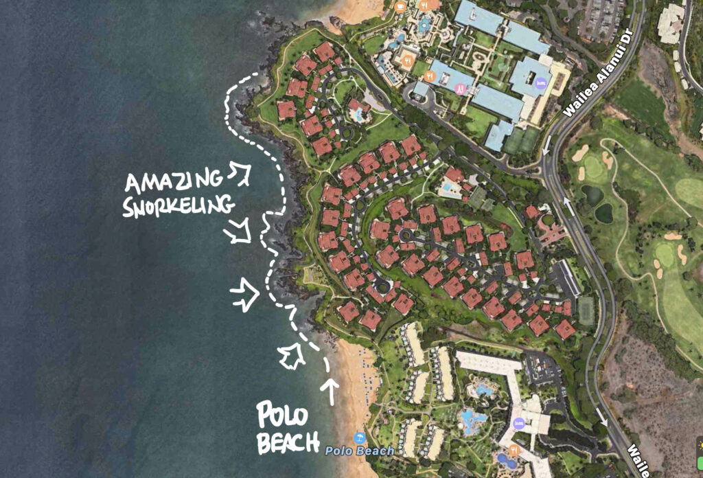 snorkeling Wailea Point