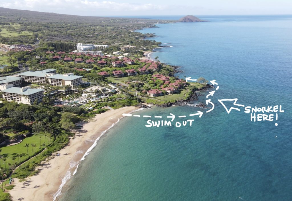 Wailea point snorkeling