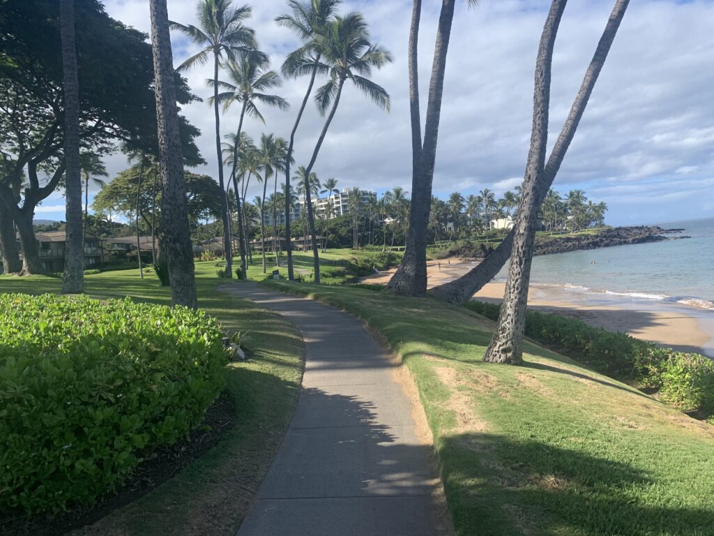 Ulua Beach Maui Ulua Beach