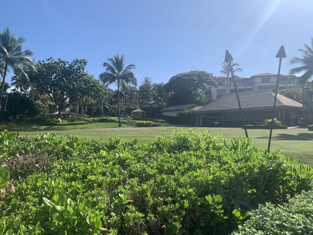Marriott Luau