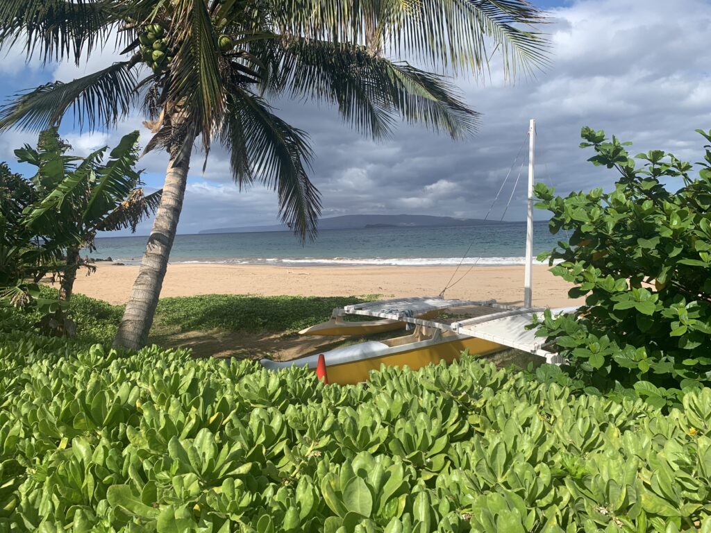 Polo Beach