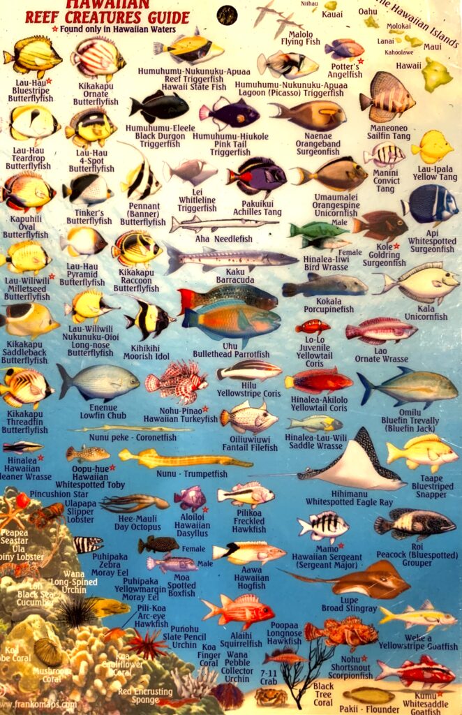Reef creatures of Hawaii Reef creatures of Hawaii