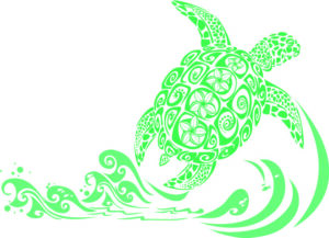 green turtle maui