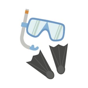 snorkel and fins