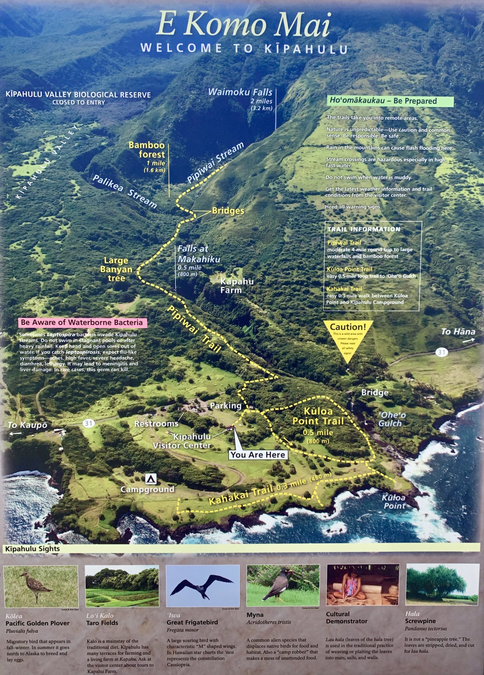 Haleakala Map of Pipiwai Trail and overview