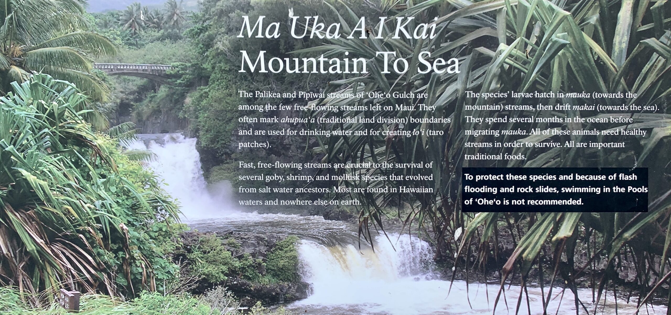 Oheo gulch history Maui