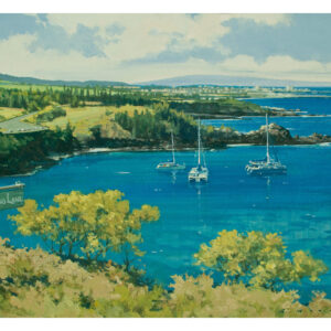 "Honolua Bay Maui"