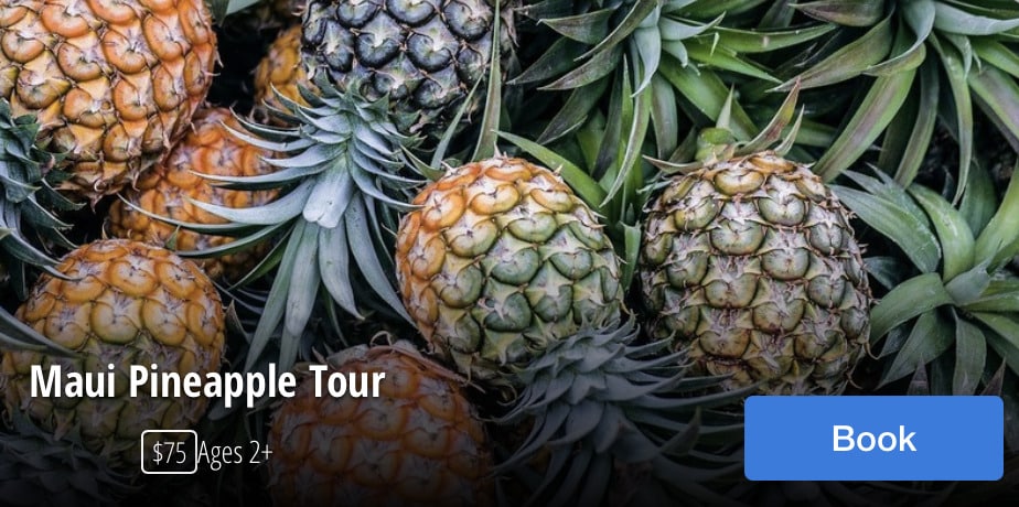 Maui Pineapple tour
