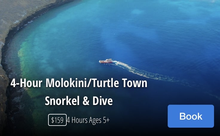 Dive and Snorkeling tour